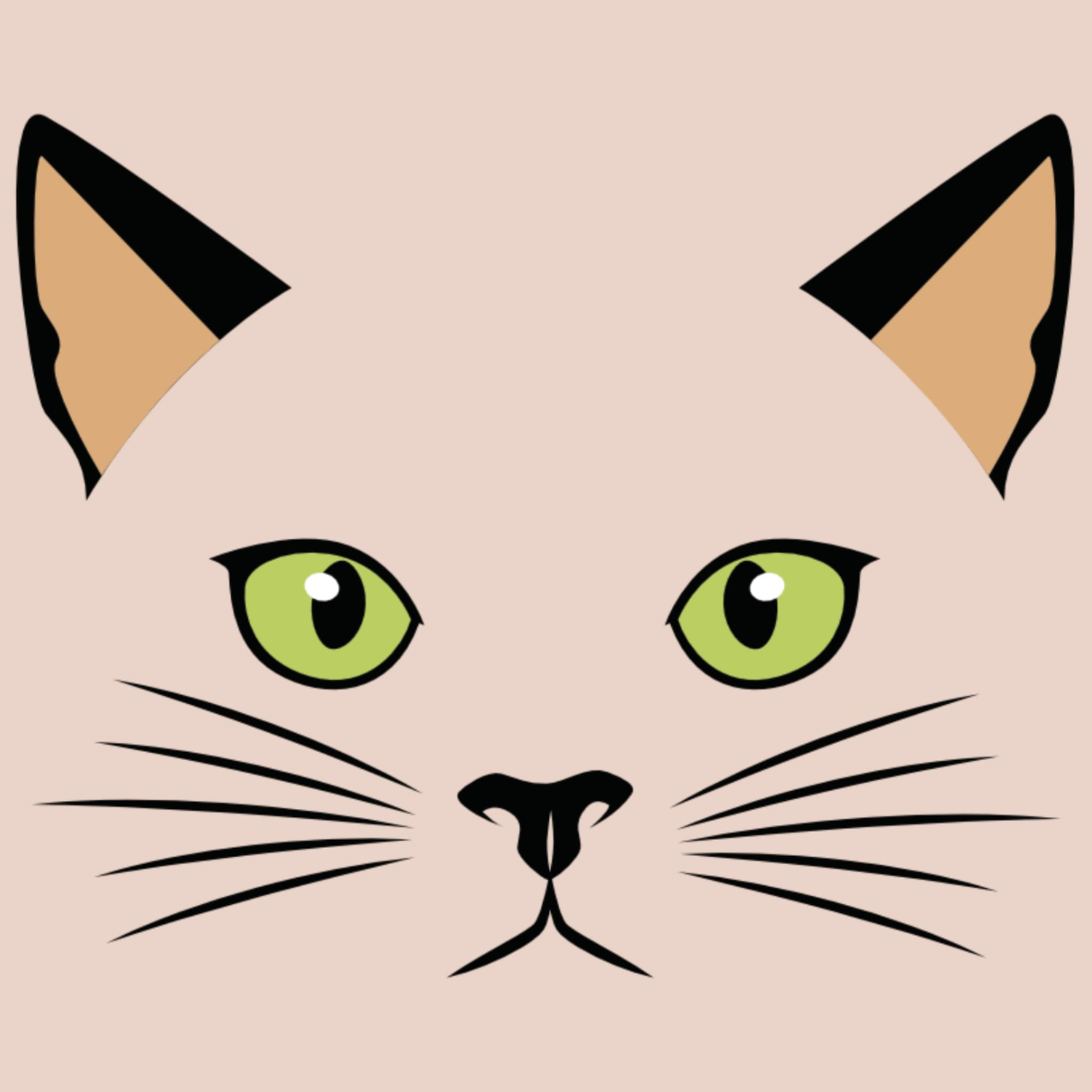 Animaux amusants
